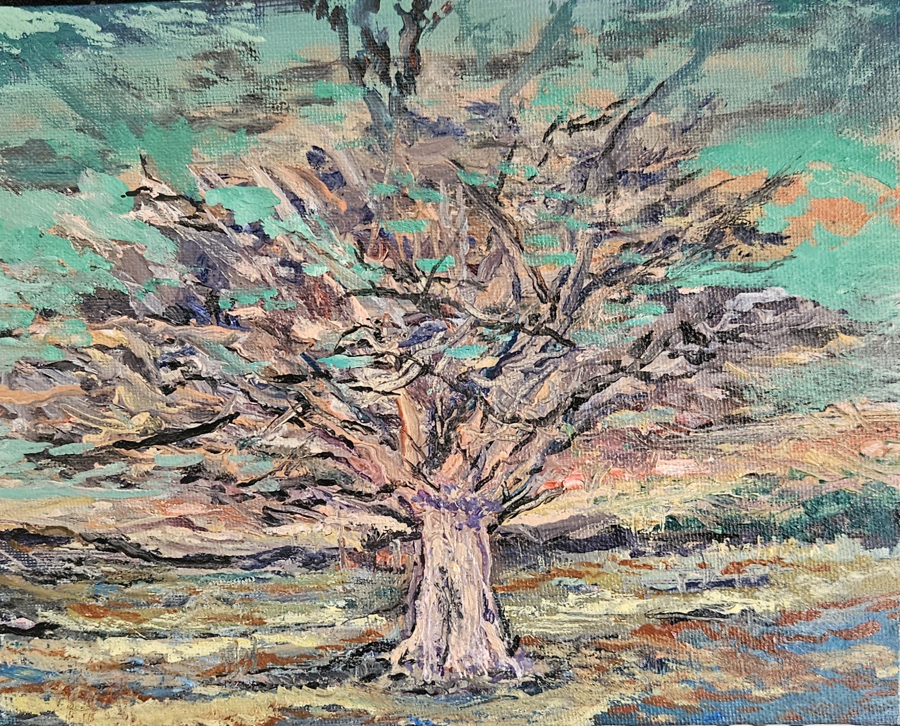 Juniper Tree Study