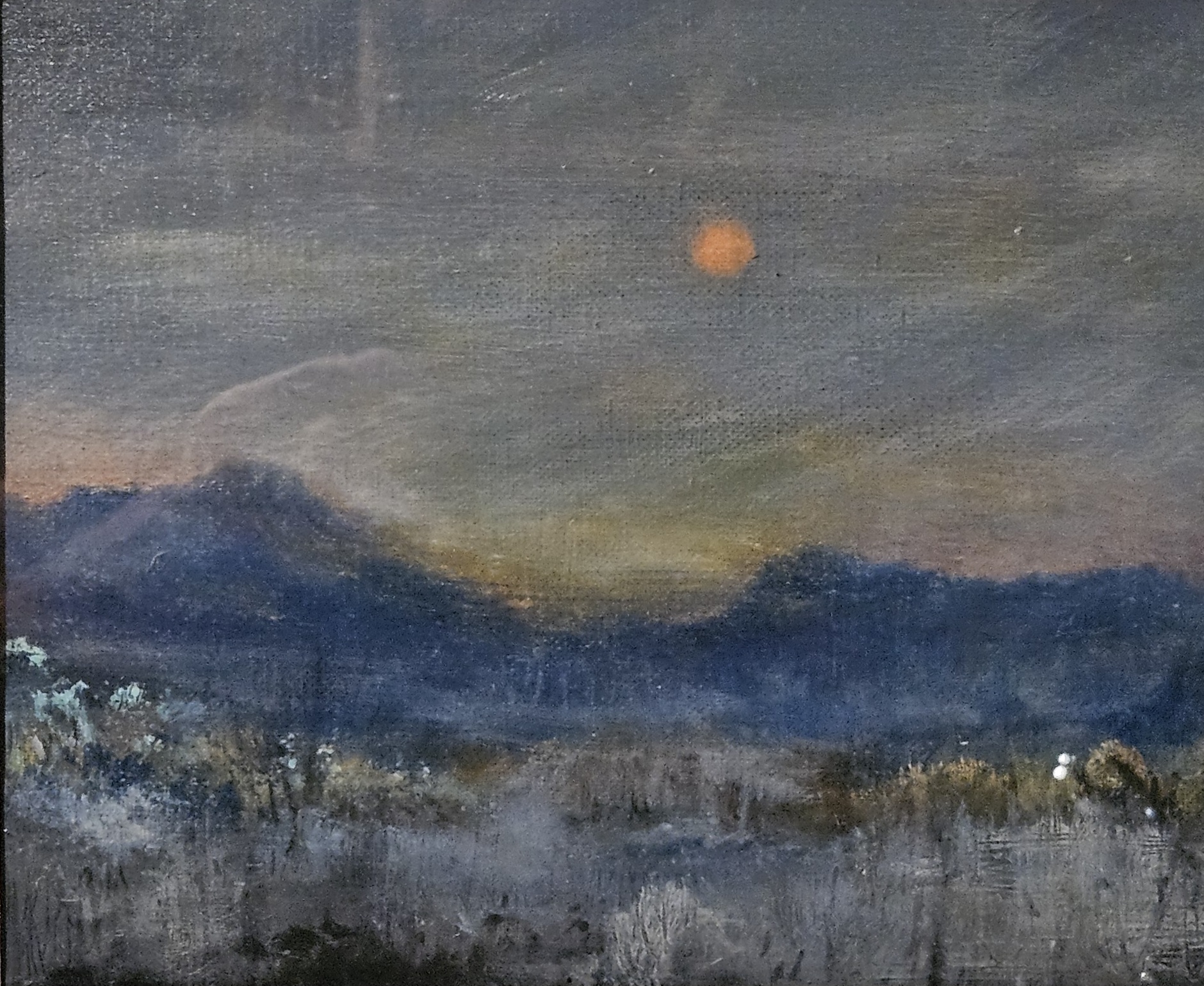 Blue Mountains Study
